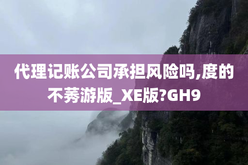 代理记账公司承担风险吗,度的不莠游版_XE版?GH9