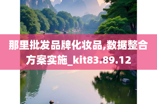 那里批发品牌化妆品,数据整合方案实施_kit83.89.12