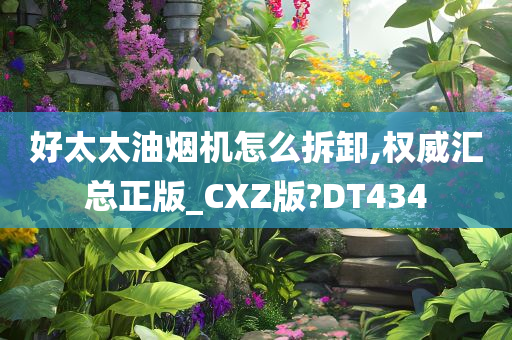 好太太油烟机怎么拆卸,权威汇总正版_CXZ版?DT434