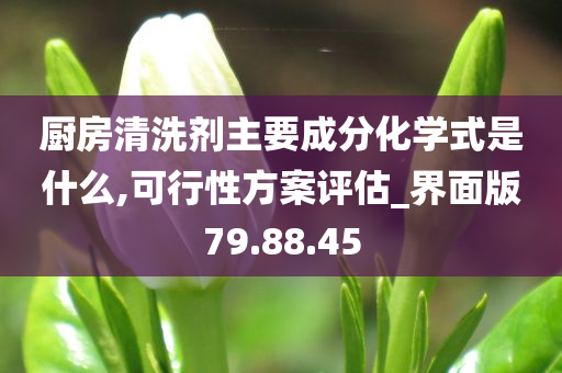 厨房清洗剂主要成分化学式是什么,可行性方案评估_界面版79.88.45