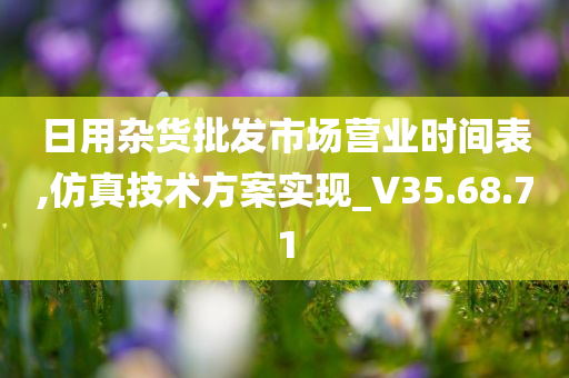 日用杂货批发市场营业时间表,仿真技术方案实现_V35.68.71