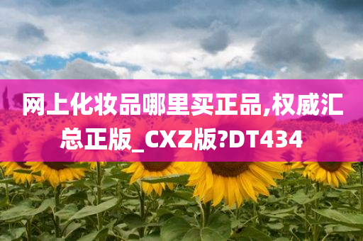 网上化妆品哪里买正品,权威汇总正版_CXZ版?DT434