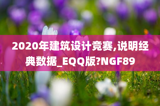 2020年建筑设计竞赛,说明经典数据_EQQ版?NGF89