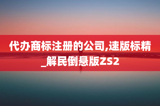 代办商标注册的公司,速版标精_解民倒悬版ZS2