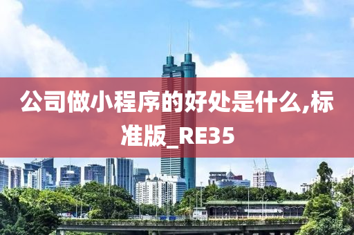 公司做小程序的好处是什么,标准版_RE35