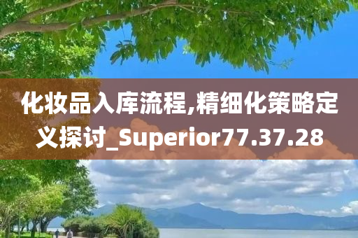 化妆品入库流程,精细化策略定义探讨_Superior77.37.28