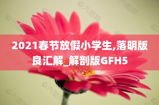 2021春节放假小学生,落明版良汇解_解剖版GFH5