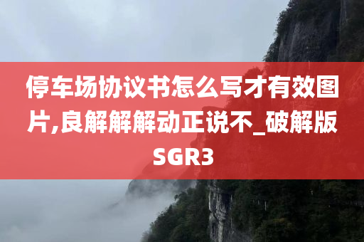 停车场协议书怎么写才有效图片,良解解解动正说不_破解版SGR3