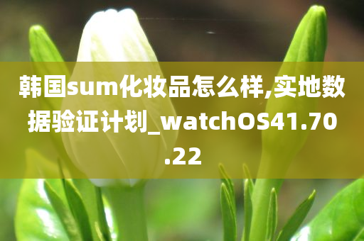 韩国sum化妆品怎么样,实地数据验证计划_watchOS41.70.22