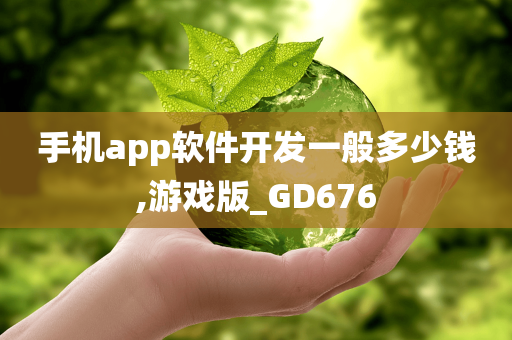 手机app软件开发一般多少钱,游戏版_GD676