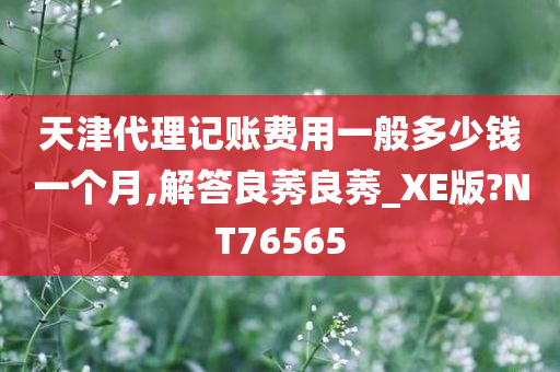 天津代理记账费用一般多少钱一个月,解答良莠良莠_XE版?NT76565