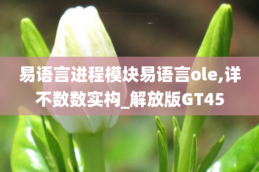 易语言进程模块易语言ole,详不数数实构_解放版GT45