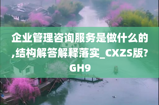 企业管理咨询服务是做什么的,结构解答解释落实_CXZS版?GH9