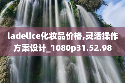 ladelice化妆品价格,灵活操作方案设计_1080p31.52.98