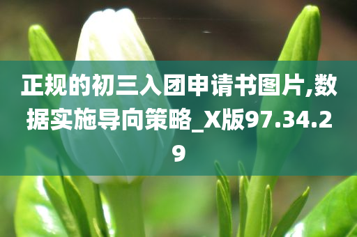 正规的初三入团申请书图片,数据实施导向策略_X版97.34.29