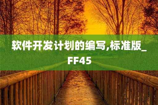 软件开发计划的编写,标准版_FF45