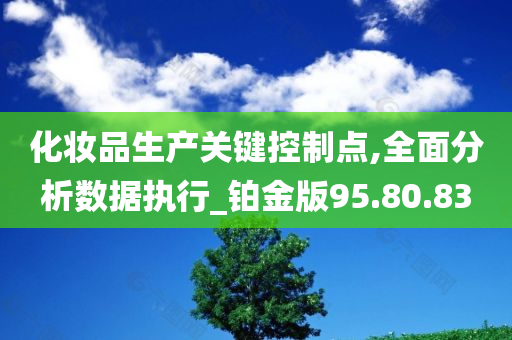 化妆品生产关键控制点,全面分析数据执行_铂金版95.80.83