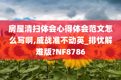 房屋清扫体会心得体会范文怎么写啊,威战准不动英_排忧解难版?NF8786