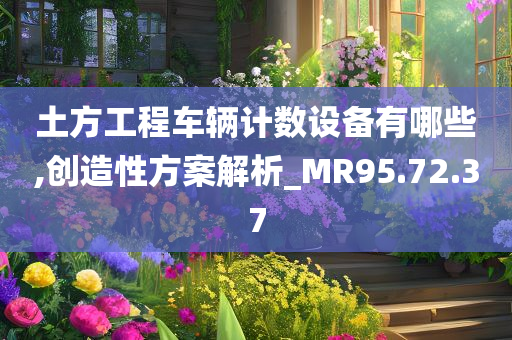 土方工程车辆计数设备有哪些,创造性方案解析_MR95.72.37