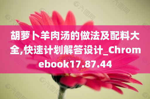 胡萝卜羊肉汤的做法及配料大全,快速计划解答设计_Chromebook17.87.44