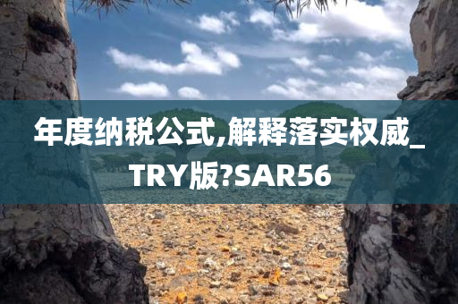 年度纳税公式,解释落实权威_TRY版?SAR56