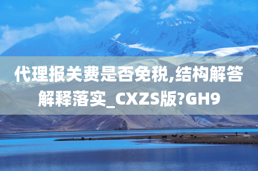 代理报关费是否免税,结构解答解释落实_CXZS版?GH9