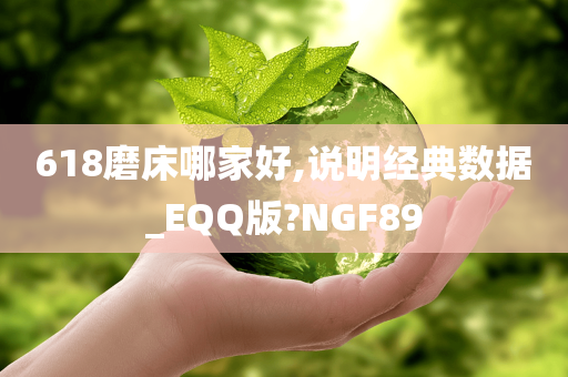 618磨床哪家好,说明经典数据_EQQ版?NGF89