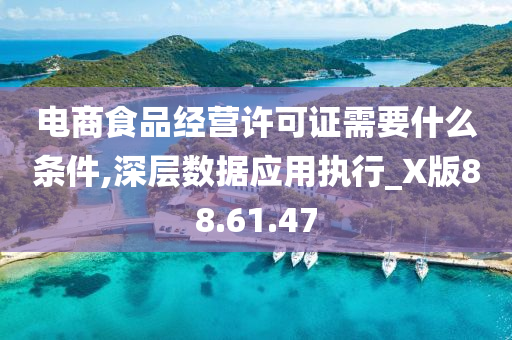 电商食品经营许可证需要什么条件,深层数据应用执行_X版88.61.47