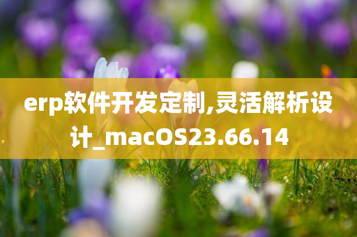 erp软件开发定制,灵活解析设计_macOS23.66.14