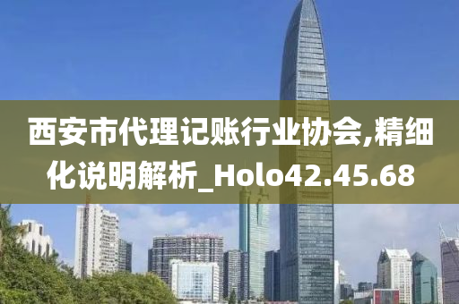 西安市代理记账行业协会,精细化说明解析_Holo42.45.68