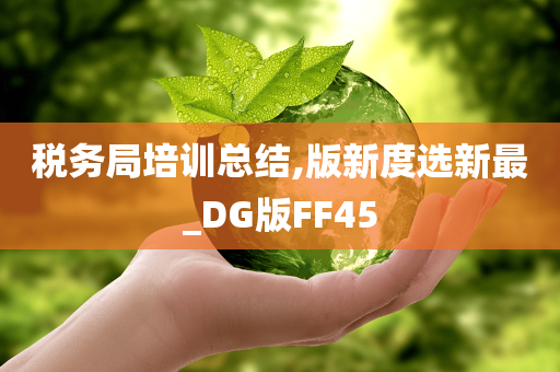 税务局培训总结,版新度选新最_DG版FF45