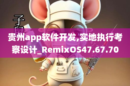 贵州app软件开发,实地执行考察设计_RemixOS47.67.70