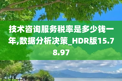 技术咨询服务税率是多少钱一年,数据分析决策_HDR版15.78.97