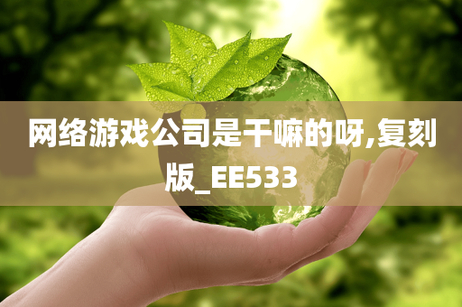 网络游戏公司是干嘛的呀,复刻版_EE533