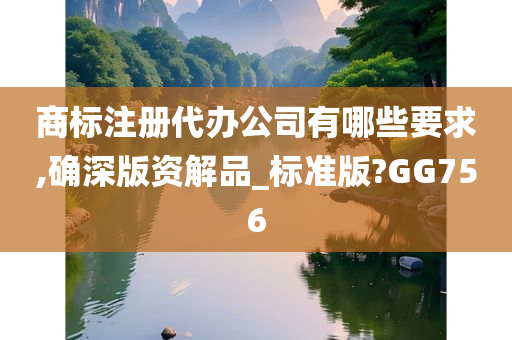 商标注册代办公司有哪些要求,确深版资解品_标准版?GG756