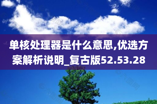 单核处理器是什么意思,优选方案解析说明_复古版52.53.28