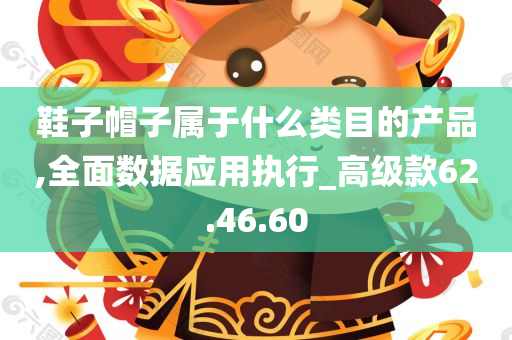 鞋子帽子属于什么类目的产品,全面数据应用执行_高级款62.46.60