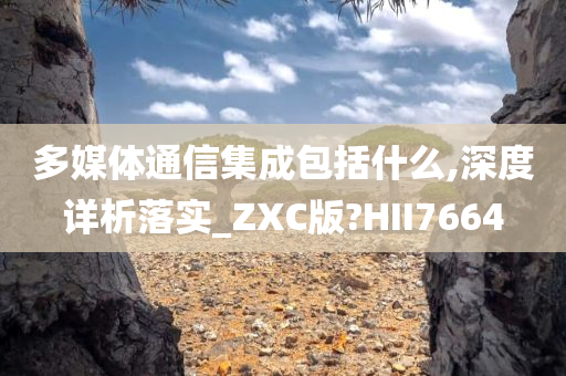 多媒体通信集成包括什么,深度详析落实_ZXC版?HII7664