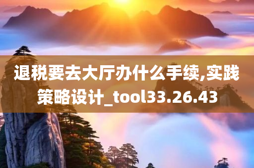 退税要去大厅办什么手续,实践策略设计_tool33.26.43