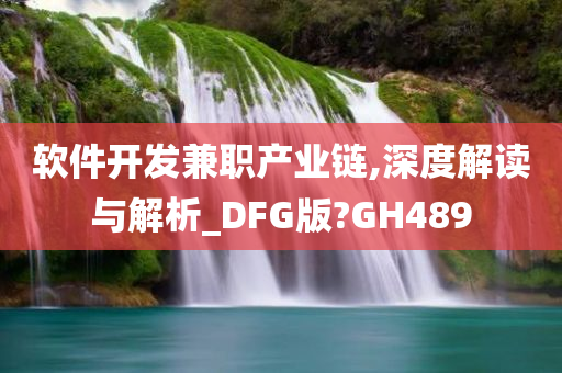 软件开发兼职产业链,深度解读与解析_DFG版?GH489