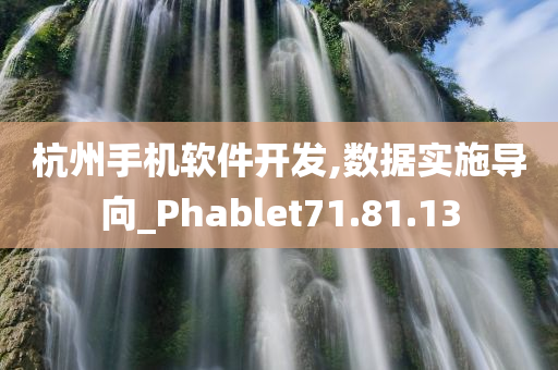 杭州手机软件开发,数据实施导向_Phablet71.81.13