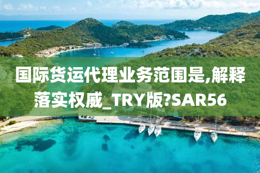 国际货运代理业务范围是,解释落实权威_TRY版?SAR56