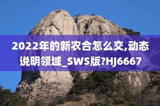 2022年的新农合怎么交,动态说明领域_SWS版?HJ6667