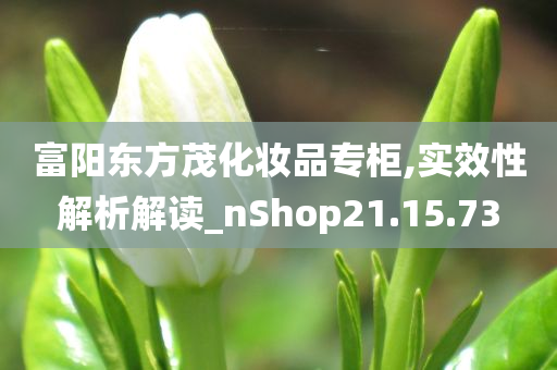 富阳东方茂化妆品专柜,实效性解析解读_nShop21.15.73