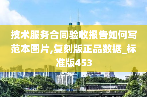 技术服务合同验收报告如何写范本图片,复刻版正品数据_标准版453