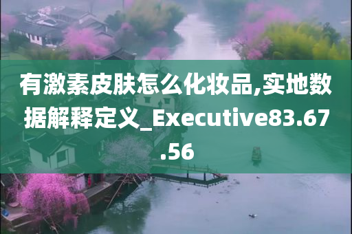 有激素皮肤怎么化妆品,实地数据解释定义_Executive83.67.56