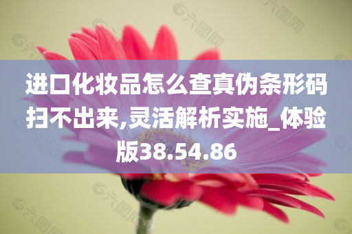 进口化妆品怎么查真伪条形码扫不出来,灵活解析实施_体验版38.54.86