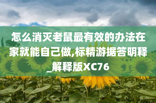 怎么消灭老鼠最有效的办法在家就能自己做,标精游据答明释_解释版XC76