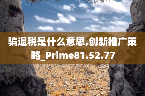 骗退税是什么意思,创新推广策略_Prime81.52.77