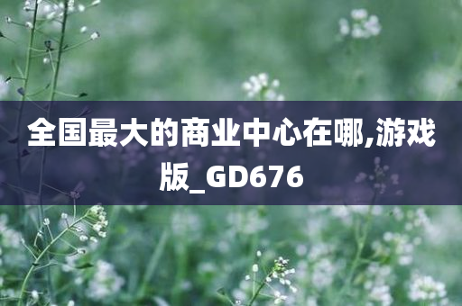 全国最大的商业中心在哪,游戏版_GD676